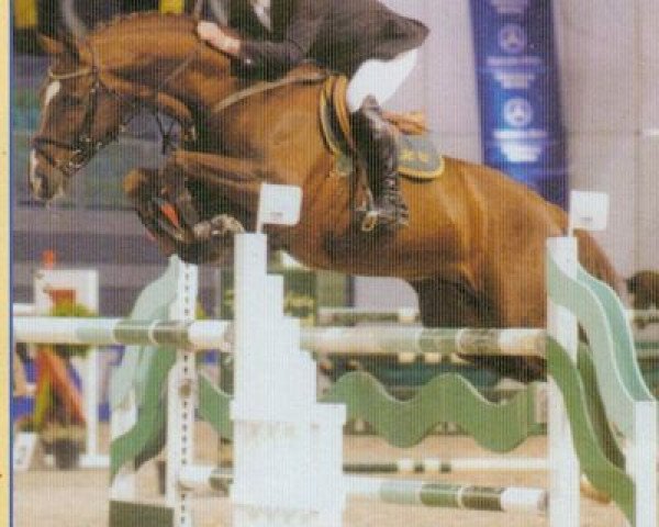 stallion Racord M (Bavarian, 1994, from Rasso)