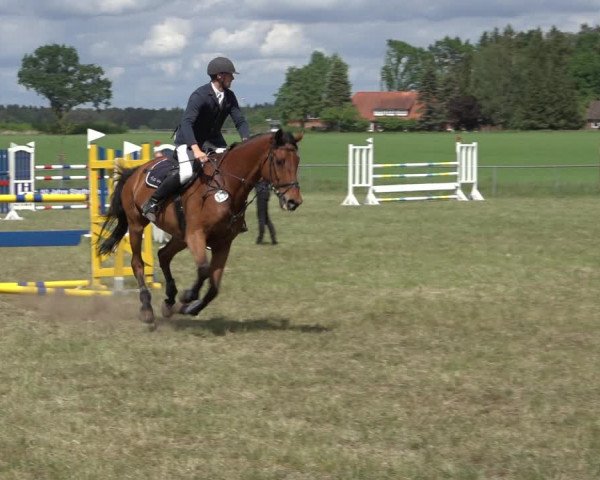 Reitturnier Alvern 2022