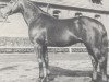 stallion Smaragd (Hanoverian, 1971, from Sudan xx)