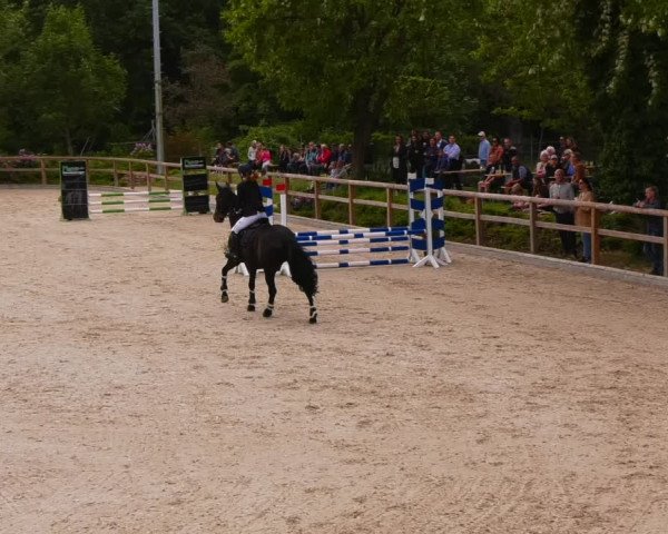 Reitturnier Ruhlsdorf 2022