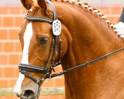 dressage horse Fleuron 7 (Westphalian, 2001, from Florestan II)