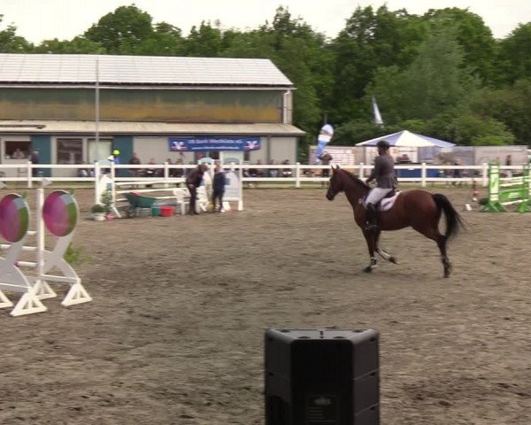 Reitturnier Mildstedt 2022