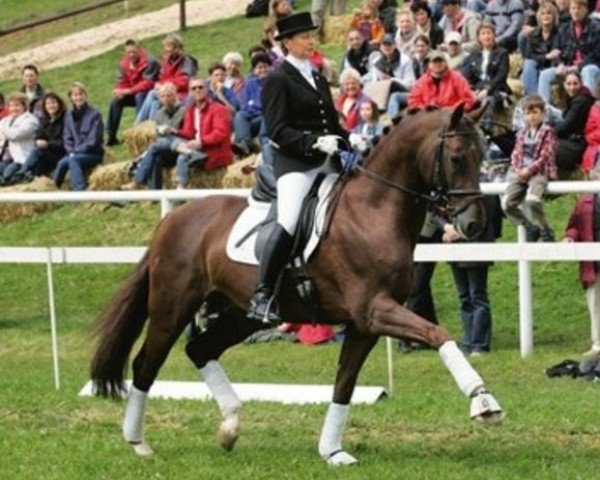 dressage horse Köpenick (Oldenburg, 2001, from Krack C)