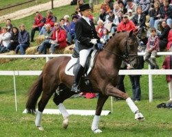 dressage horse Köpenick (Oldenburg, 2001, from Krack C)