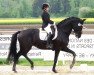 dressage horse Infinity for Romance (Württemberger, 2015, from For Romance I)