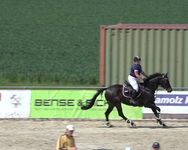 Reitturnier Harsum-Hüddessum 2022