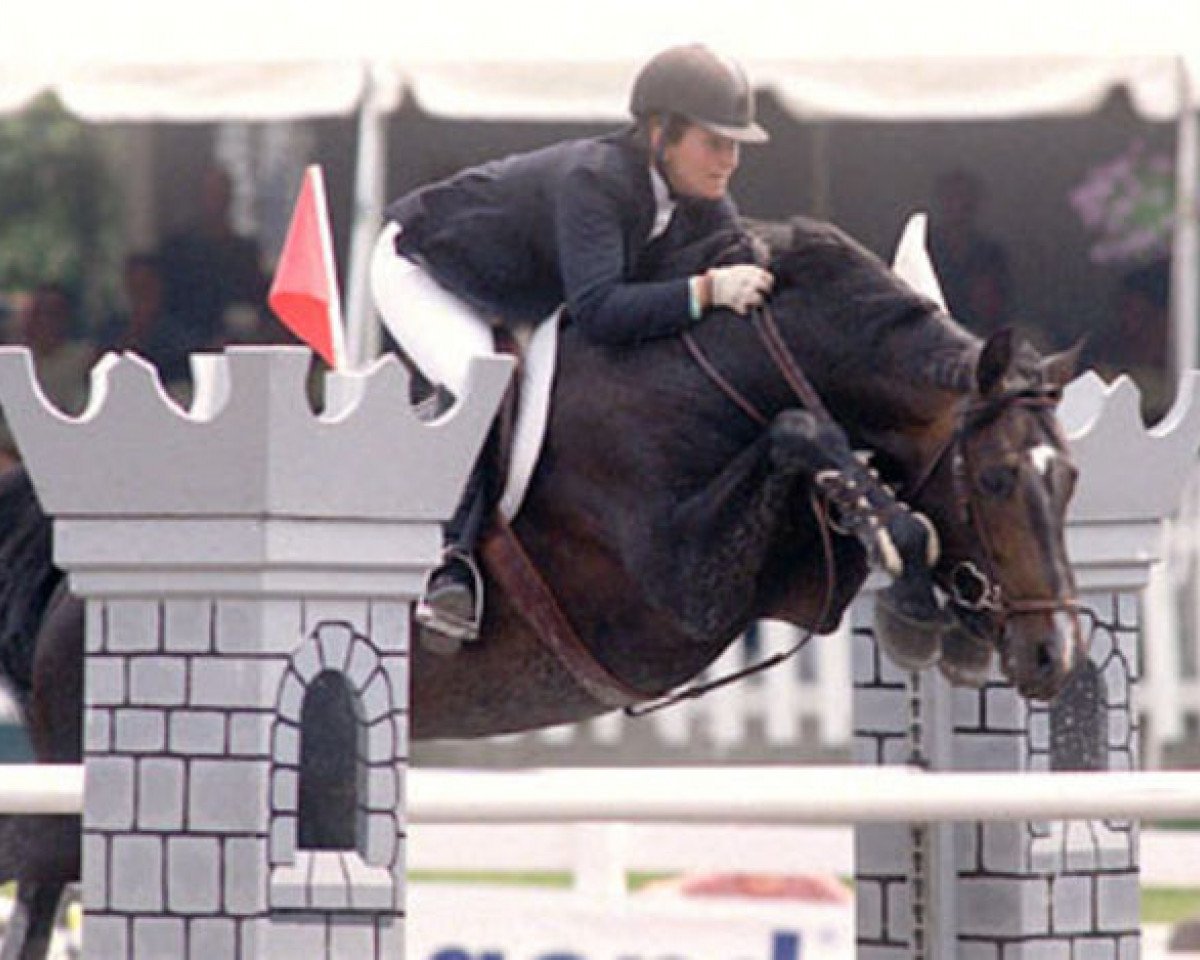 stallion Cockney II (Holsteiner, 1989, from Calando IV)