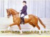 stallion Boss (Hanoverian, 1984, from Bolero)