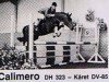 Deckhengst Calimero (Holsteiner, 1980, von Calypso II)
