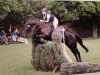 dressage horse Hannibal B (Bavarian, 1998, from Heraldik xx)