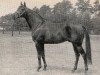 stallion Menes xx (Thoroughbred, 1954, from Goody xx)