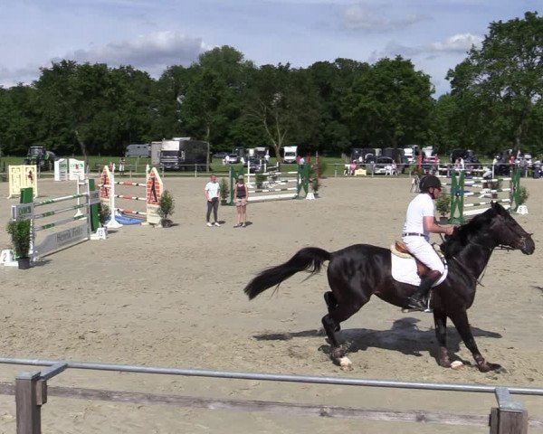 Reitturnier Nienberge-Schonebeck, Reitanlage Geßmann 2022