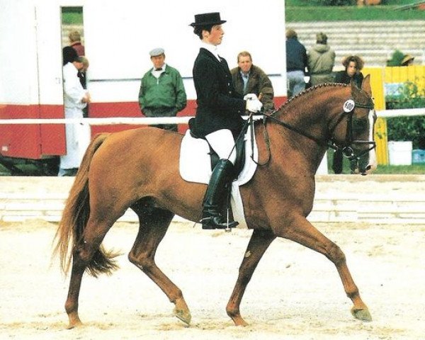 stallion Liberty (Hanoverian, 1987, from Ludendorff)
