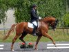 stallion Lago d'Oro (Bavarian, 2009, from Lord Sunshine 2)