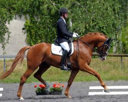 stallion Lago d'Oro (Bavarian, 2009, from Lord Sunshine 2)