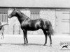 stallion Saint Simon xx (Thoroughbred, 1881, from Galopin xx)