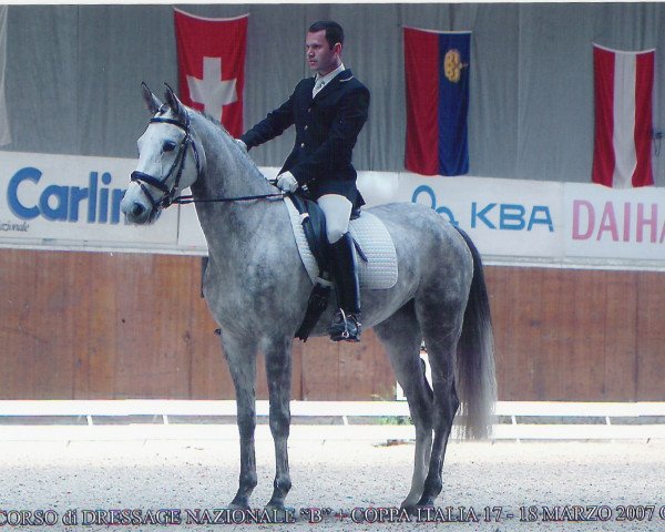 Zuchtstute Roby dei Castellani (Italienisches Warmblut, 2002, von Rubinstein I)