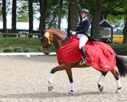 dressage horse Favorite Floyd (Oldenburg, 2011, from Fürstenball)