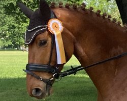 dressage horse Lajani (Hanoverian, 2014, from Londontime)