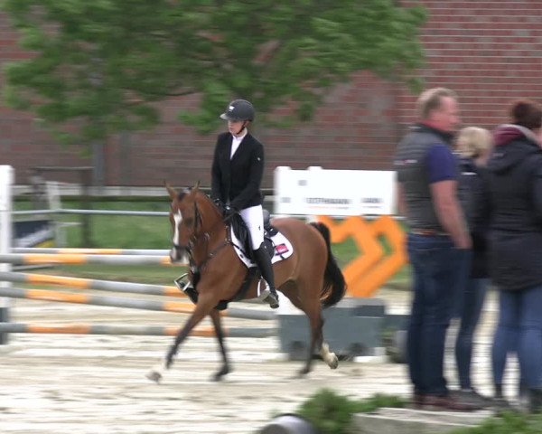 Reitturnier Coesfeld/Lette 2022