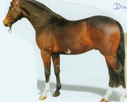 stallion Rodgau (Hessian Warmblood, 1990, from Reflektor)