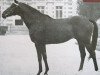 stallion St. Brendan xx (Thoroughbred, 1962, from Milesian xx)