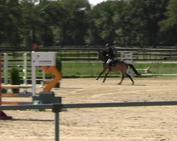 Reitturnier Coesfeld/Lette 2022