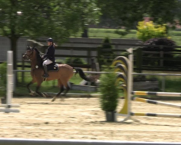 Reitturnier Coesfeld/Lette 2022