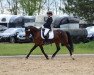 dressage horse Lucille (Pony without race description, 2006)