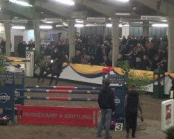 jumper Vera Lyn (KWPN (Royal Dutch Sporthorse), 2002)