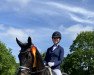 dressage horse Hagen Von Tronje 4 (Trakehner, 2019, from Freiherr von Stein)