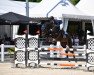 jumper Diacord 3 (Hanoverian, 2017, from Diarado)