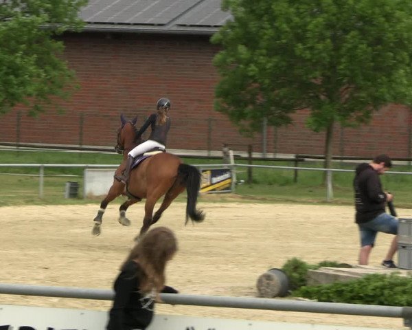 Reitturnier Coesfeld/Lette 2022