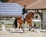 dressage horse Belicio (Bavarian, 2013, from Callaho's Benicio)