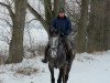 dressage horse Withe Magic 30 (unknown, 2009)