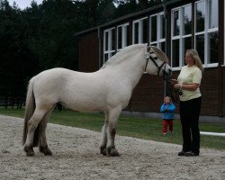 stallion Finfin N.2601 (Fjord Horse, 2006, from Sofin N.2511)