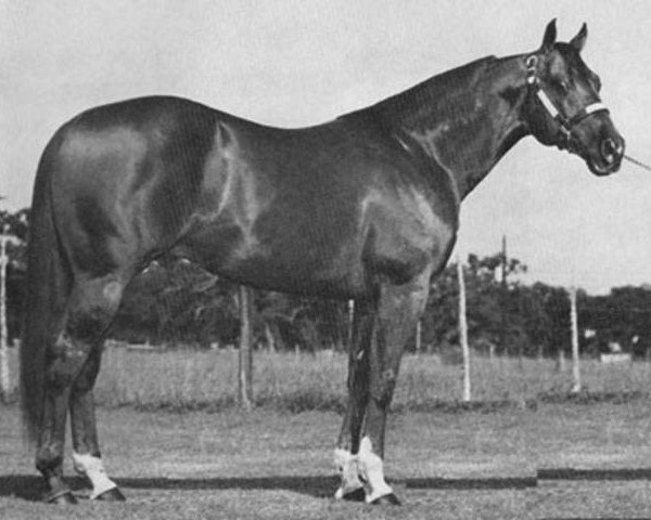 Deckhengst Son Ofa Doc (Quarter Horse, 1975, von Doc Bar)