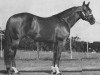 Deckhengst Son Ofa Doc (Quarter Horse, 1975, von Doc Bar)