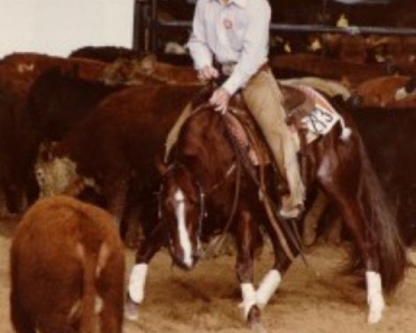 Deckhengst Smart Little Lena (Quarter Horse, 1979, von Doc OLena)
