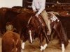Deckhengst Smart Little Lena (Quarter Horse, 1979, von Doc OLena)