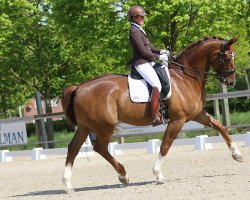 jumper Cheveyo 13 (Hanoverian, 2009, from Charilan)