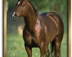 stallion Peptotime (Quarter Horse, 1997, from Peptoboonsmal)