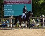 dressage horse Greatest Girl 3 (Oldenburg, 2014, from Grey Flanell)