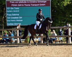 dressage horse Greatest Girl 3 (Oldenburg, 2014, from Grey Flanell)