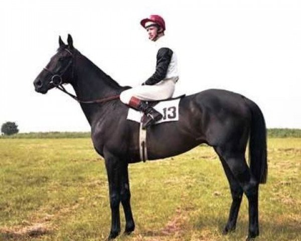 stallion Ile de Bourbon xx (Thoroughbred, 1975, from Nijinsky xx)