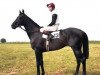 stallion Ile de Bourbon xx (Thoroughbred, 1975, from Nijinsky xx)