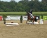 dressage horse Filius fidus (Oldenburg, 2017, from Fürst Wilhelm)