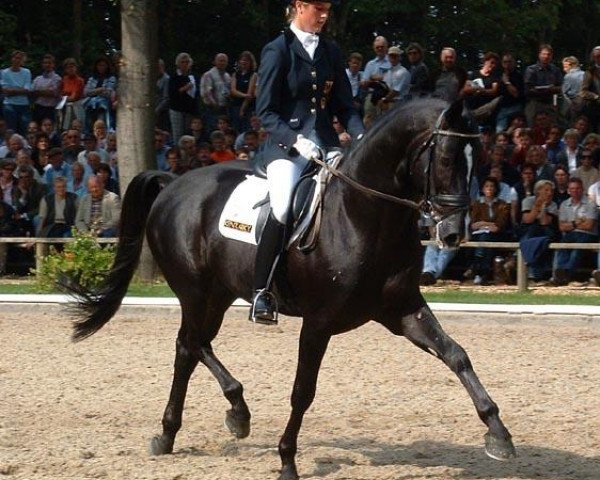 stallion Moosbends Ricardos (Hessian Warmblood, 1998, from Rodgau)