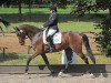 dressage horse London 44 (Hanoverian, 2008, from Lauries Crusador xx)