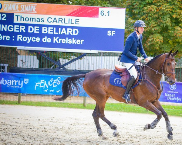 jumper Ginger de Beliard (Selle Français, 2016, from Upsilon AA)